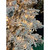 Frosted Snow Pine Pre-Lit Christmas Tree