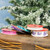 Christmas Elves Ribbon Christmas Kids Bright (5 Styles) 