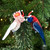 Christmas Elves Aussie Christmas Major Mitchell Cockatoo - 9cm 