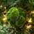 Smooth Green Moss Ball Festive Display