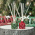 Christmas Elves Red Green Christmas Diffusers 30ml (2 Styles, Pack of 3) - 6cm 