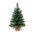Mini Pine Tree Tabletop