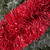 Festive Christmas Tinsel - Red