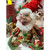 Medium Merry Christmas Elf