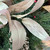 Willow Eucalyptus Spray Elegant Foliage