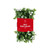 Holly Berry & Pinecone Christmas Garland - Silver Berries