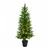 5FT Potted Conifer Pre-Lit LED Christmas Tree