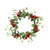 Premium Modern Botanical Red Berry Wreath
