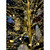 Stockholm 2000 Champagne Illuminated Twig Tree