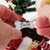 Possible Dreams 26.5cm Puppy's Christmas Figurine Set - Dog Tag