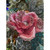 Beaded Coral Pink Magnolia Petal Clip-On Festive Tree Decoration