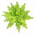 Luxury Lime Green Glittered Artificial Poinsettia Clip Ornament
