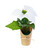 White Faux Poinsettia Plant in Kraft-Wrapped Pot