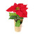Red Artificial Flocked Poinsettia Potted Plant with Jute Tie