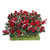 Holly Berries Picks - 21cm