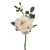 Cream & Pink Garden Diamond Rose