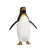 Animated Norma the Female Christmas Penguin