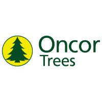 Oncor Christmas Trees