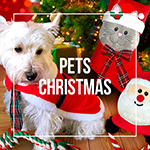 Pets Christmas