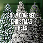 Snow Covered Christmas Trees