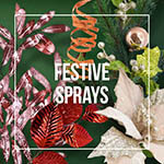 Festive Sprays