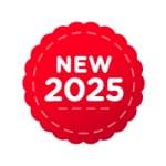 This Lemax product was released in 2025!