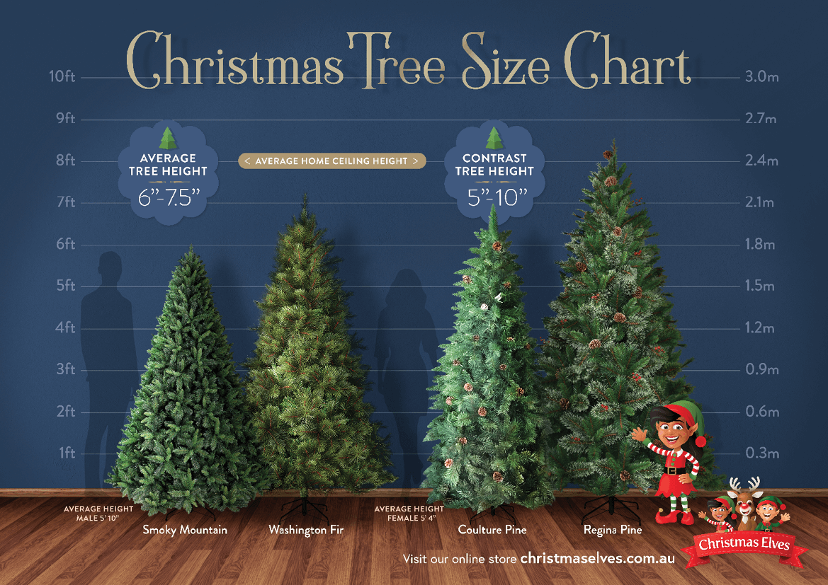 10FT Slim Parana Pine Christmas Tree