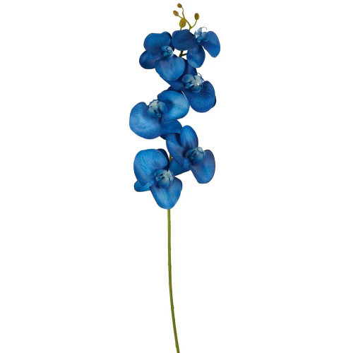 Royal Blue Phalaenopsis Orchid Stem - 80cm - Christmas Elves