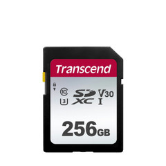 *USED* 256GB STANDARD SD CARD (#433608815842)