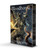 BLOODBORNE GRAPHIC NOVEL COLLECTION VOL 4-6 (#9781787743823)