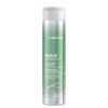 Joico Scalp Vitality Refreshing Shampoo 300ml