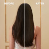 Alfaparf Keratin Therapy Lisse Design The Oil 50ml 3