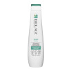 Biolage ScalpSync Anti Dandruff Shampoo 250ml