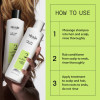 Nioxin -  System Kit 2 (for Natural Hair with Progressed Thinning) 2 Nioxin -  System Kit 2 (for Natural Hair with Progressed Thinning) 2