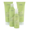 Aveda be curly curl potenziatore - 200 ml