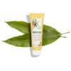 Crema senza risciacquo al mango Klorane 125ml