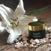 Green Angel Face Mask - Seaweed Aloe & Avocado Live