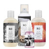 R+ Co Smooth & Frizz-Free Bundle For Frizz-Prone Hair