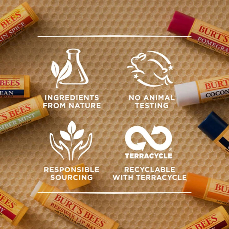 Burt's Bees 100% Natürlicher Lippenbalsam Beeswax – Mit Bienenwachs & Vitamin E Für Weiche Lippen