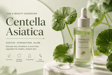 Why Centella Asiatica Is a K-Beauty Skincare Superstar