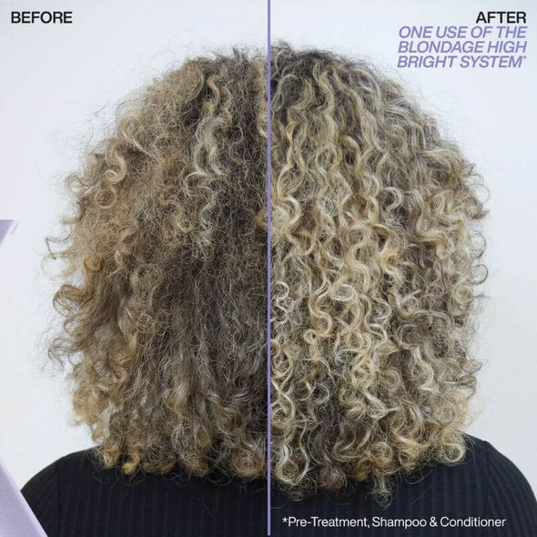  Redken Blondage High Bright Shampoo 300ml  Before & After