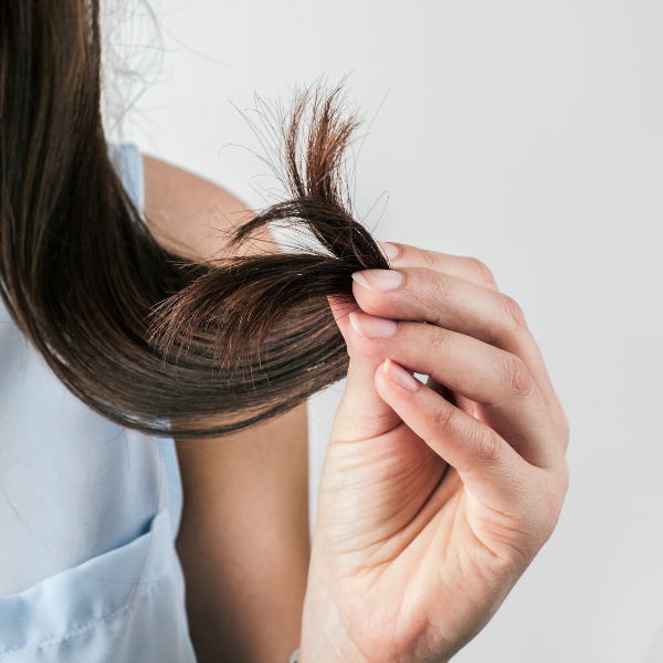 Salute dei capelli - Acquista prodotti premiati per capelli sani