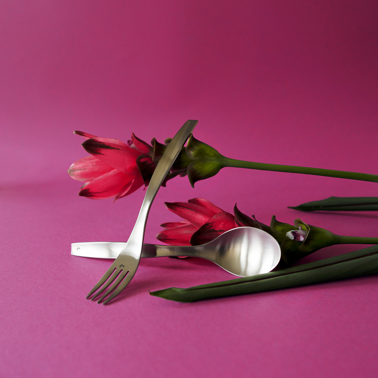 Harvest - 20 piece set