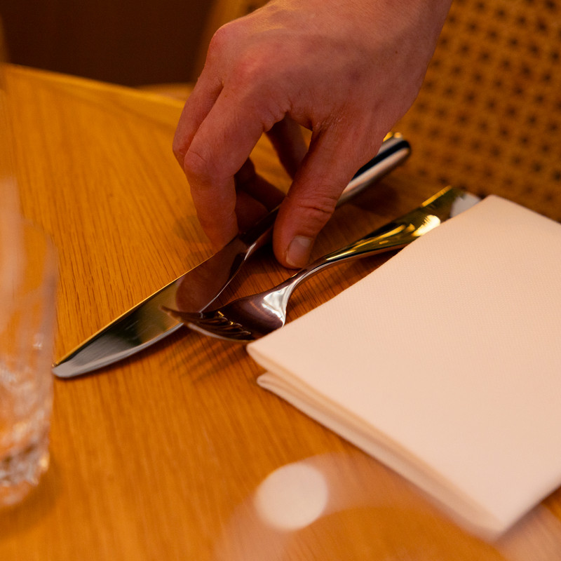 Savannah - Dinner Knife - Hollow handle