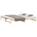 Pull-out Day Bed