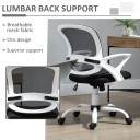 Mesh Home Office Chair Swivel Desk Task PC Chair w/ Lumbar Support, Arm, Black