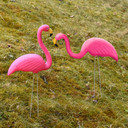  Pink Flamingo Free Standing Plastic Garden Ornament Pack Of 2 