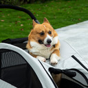 Pet Stroller Cat Pushchair Buggy Pram for M Dogs W/ 4 Wheels Safety Leash Grey