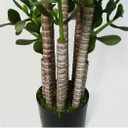 Artificial Deluxe 75cm Green Jade Plant