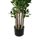 Artificial Deluxe 75cm Green Jade Plant